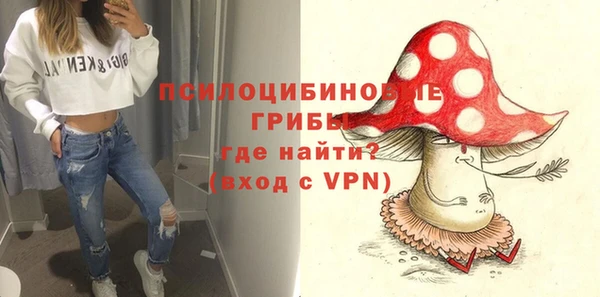 mdpv Каменск-Шахтинский