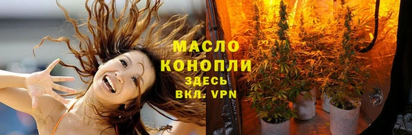 соль ск Богородицк