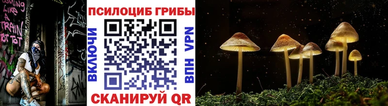 Псилоцибиновые грибы мицелий  Павловск 